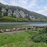 Au Coeur Des Bois - Belvedere Sur La Vallee De La Meuse Hastiere-par-dela