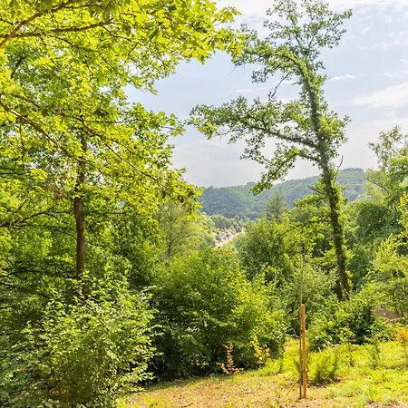 Prázdninový dům Envie De Vous Evader Dans La Vallee De La Meuse? *