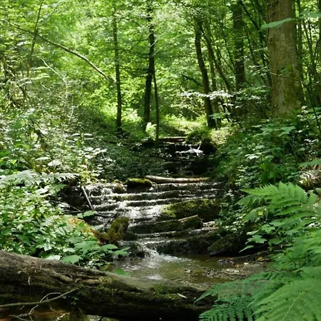 度假居 Au Coeur Des Bois - Belvedere Sur La Vallee De La Meuse Hastiere-par-dela