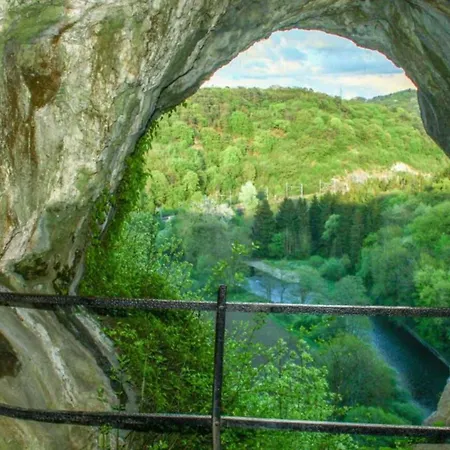 Au Coeur Des Bois - Belvedere Sur La Vallee De La Meuse Hastiere-par-dela